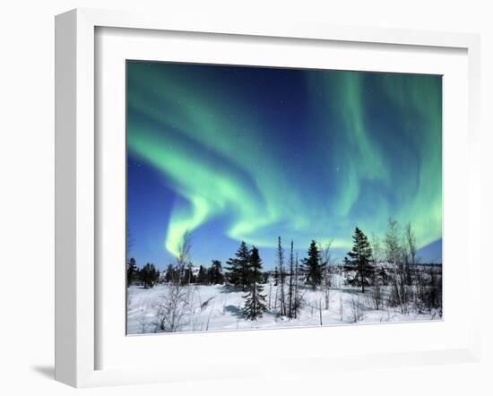 Northern Lights Northwest Territories, March 2008, Canada-Eric Baccega-Framed Photographic Print