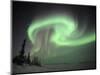 Northern Lights Northwest Territories, March 2008, Canada-Eric Baccega-Mounted Photographic Print