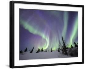 Northern Lights Northwest Territories, March 2008, Canada-Eric Baccega-Framed Photographic Print