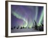 Northern Lights Northwest Territories, March 2008, Canada-Eric Baccega-Framed Photographic Print