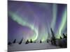 Northern Lights Northwest Territories, March 2008, Canada-Eric Baccega-Mounted Photographic Print