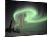 Northern Lights Northwest Territories, March 2008, Canada-Eric Baccega-Mounted Photographic Print