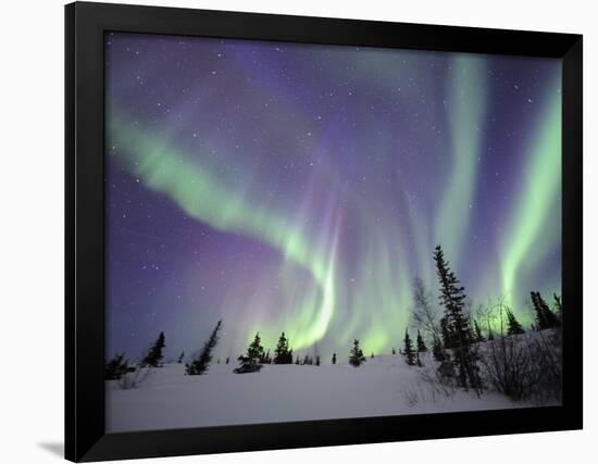 Northern Lights Northwest Territories, March 2008, Canada-Eric Baccega-Framed Photographic Print