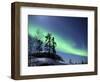 Northern Lights Northwest Territories, March 2008, Canada-Eric Baccega-Framed Photographic Print