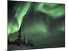 Northern Lights Northwest Territories, March 2008, Canada-Eric Baccega-Mounted Photographic Print
