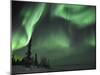 Northern Lights Northwest Territories, March 2008, Canada-Eric Baccega-Mounted Photographic Print