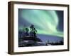 Northern Lights Northwest Territories, March 2008, Canada-Eric Baccega-Framed Photographic Print