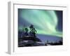 Northern Lights Northwest Territories, March 2008, Canada-Eric Baccega-Framed Photographic Print