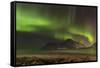 Northern lights over Flakstad and Skagsanden beach. The coast near Flakstad, island Flakstadoya. Th-Martin Zwick-Framed Stretched Canvas