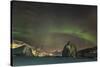 Northern Lights over Port City in Norway in Winter with Stars and Stones in the Foreground-Niki Haselwanter-Stretched Canvas