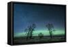 Northern Lights over the High Plains of Montana-Steven Gnam-Framed Stretched Canvas