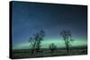 Northern Lights over the High Plains of Montana-Steven Gnam-Stretched Canvas