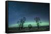 Northern Lights over the High Plains of Montana-Steven Gnam-Framed Stretched Canvas