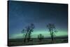 Northern Lights over the High Plains of Montana-Steven Gnam-Stretched Canvas