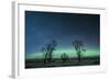 Northern Lights over the High Plains of Montana-Steven Gnam-Framed Photographic Print