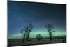 Northern Lights over the High Plains of Montana-Steven Gnam-Mounted Photographic Print