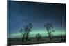 Northern Lights over the High Plains of Montana-Steven Gnam-Mounted Photographic Print