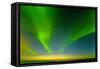 Northern Lights over the Sea, Beaufort Sea, ANWR, Alaska, USA-Steve Kazlowski-Framed Stretched Canvas