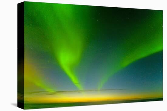Northern Lights over the Sea, Beaufort Sea, ANWR, Alaska, USA-Steve Kazlowski-Stretched Canvas
