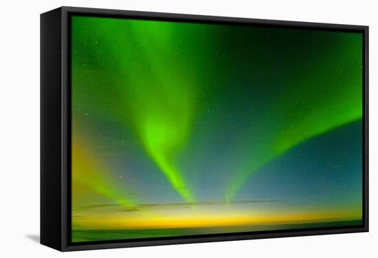 Northern Lights over the Sea, Beaufort Sea, ANWR, Alaska, USA-Steve Kazlowski-Framed Stretched Canvas