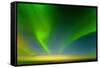 Northern Lights over the Sea, Beaufort Sea, ANWR, Alaska, USA-Steve Kazlowski-Framed Stretched Canvas