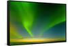 Northern Lights over the Sea, Beaufort Sea, ANWR, Alaska, USA-Steve Kazlowski-Framed Stretched Canvas