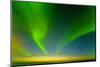 Northern Lights over the Sea, Beaufort Sea, ANWR, Alaska, USA-Steve Kazlowski-Mounted Premium Photographic Print