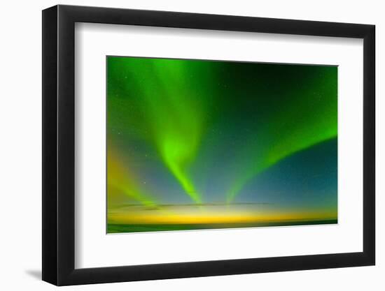 Northern Lights over the Sea, Beaufort Sea, ANWR, Alaska, USA-Steve Kazlowski-Framed Photographic Print