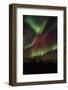 Northern Lights over the South of Iceland Scandinavia, Iceland-Martin Zwick-Framed Photographic Print