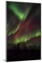 Northern Lights over the South of Iceland Scandinavia, Iceland-Martin Zwick-Mounted Photographic Print