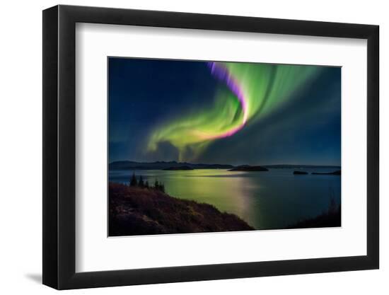 Premium Photographic Print, , large