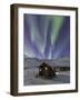 Northern Lights, White Mountain National Recreation Area, Alaska, USA-Hugh Rose-Framed Photographic Print