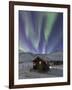 Northern Lights, White Mountain National Recreation Area, Alaska, USA-Hugh Rose-Framed Photographic Print