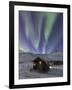 Northern Lights, White Mountain National Recreation Area, Alaska, USA-Hugh Rose-Framed Photographic Print