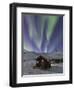 Northern Lights, White Mountain National Recreation Area, Alaska, USA-Hugh Rose-Framed Photographic Print