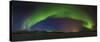 Northern Lights-Roy Samuelsen-Stretched Canvas