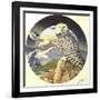 Northern Lights-Graeme Stevenson-Framed Giclee Print