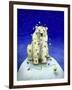 Northern Lights-Will Bullas-Framed Giclee Print