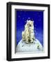 Northern Lights-Will Bullas-Framed Giclee Print