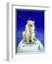 Northern Lights-Will Bullas-Framed Giclee Print