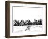 Northern Neck Landscape I-Emma Caroline-Framed Art Print