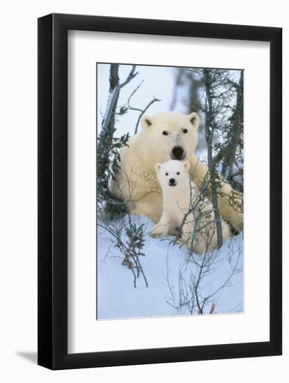 Northern Nursery-Art Wolfe-Framed Giclee Print