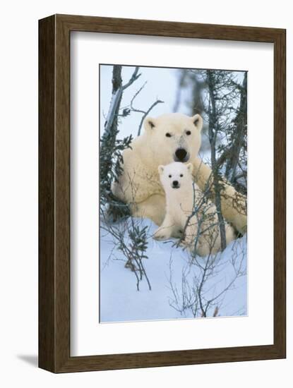 Northern Nursery-Art Wolfe-Framed Giclee Print