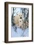 Northern Nursery-Art Wolfe-Framed Giclee Print