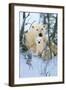 Northern Nursery-Art Wolfe-Framed Giclee Print