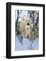 Northern Nursery-Art Wolfe-Framed Art Print