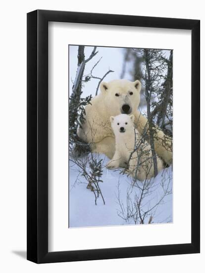 Northern Nursery-Art Wolfe-Framed Art Print