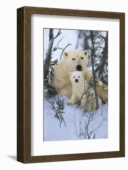 Northern Nursery-Art Wolfe-Framed Art Print