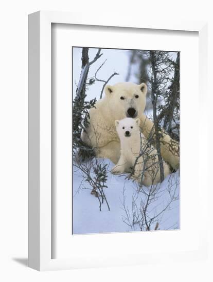 Northern Nursery-Art Wolfe-Framed Art Print