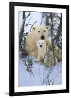 Northern Nursery-Art Wolfe-Framed Art Print